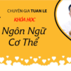 Ngôn Ngữ Cơ Thể