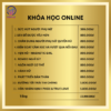 Trọn bộ 11 khóa học online video